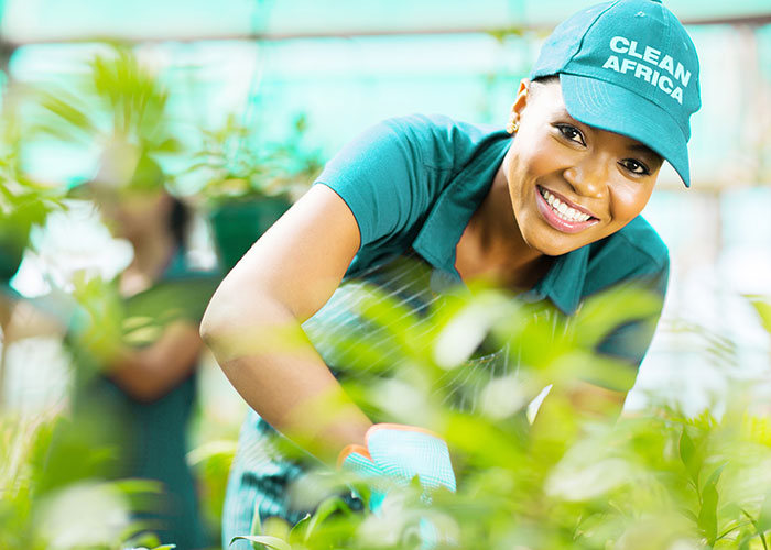 Serviço de Jardinagem na Clean Africa!